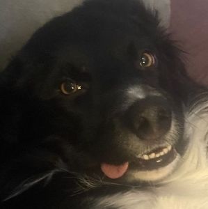 Meet your Posher, Grady